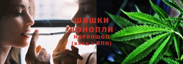мдпв Волосово
