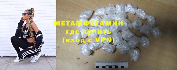 прущие грибы Волоколамск