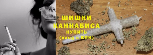 мдпв Волосово