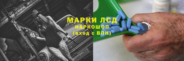 прущие грибы Волоколамск