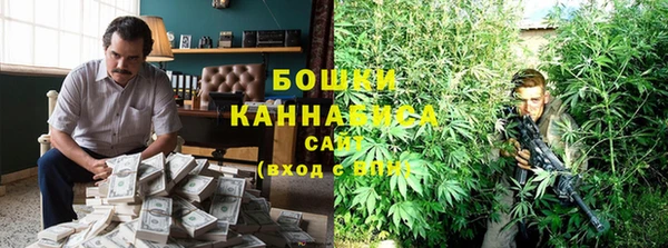 мдпв Волосово