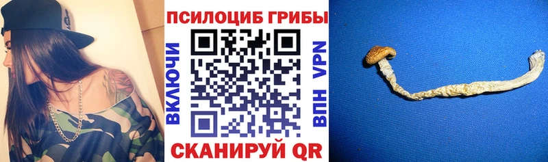 сколько стоит  Великий Новгород  Галлюциногенные грибы Magic Shrooms 